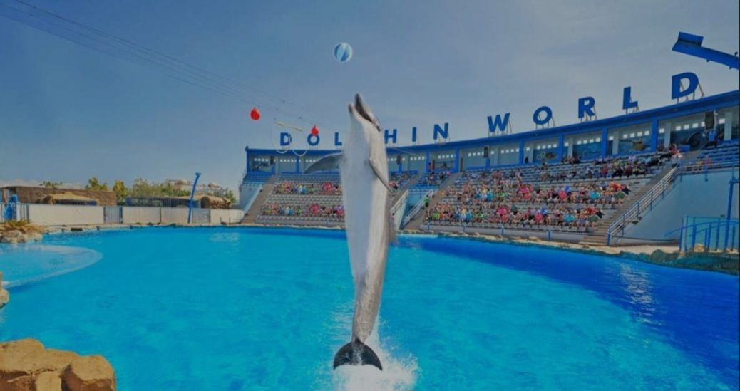 Дельфинарий