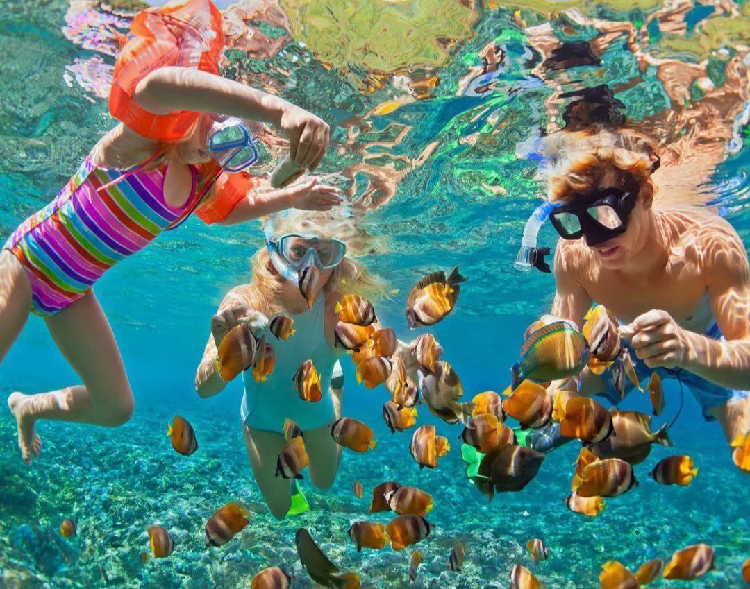 Снорклинг в Хургаде